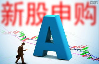 左江科技申購啟動 網(wǎng)絡(luò)信息技術(shù)新銳何時登陸資本市場